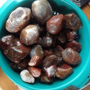 Meet your Posher, Jacob